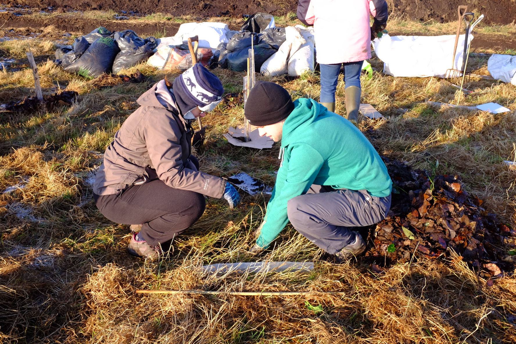 Tree planting at BCF over the Christmas Break