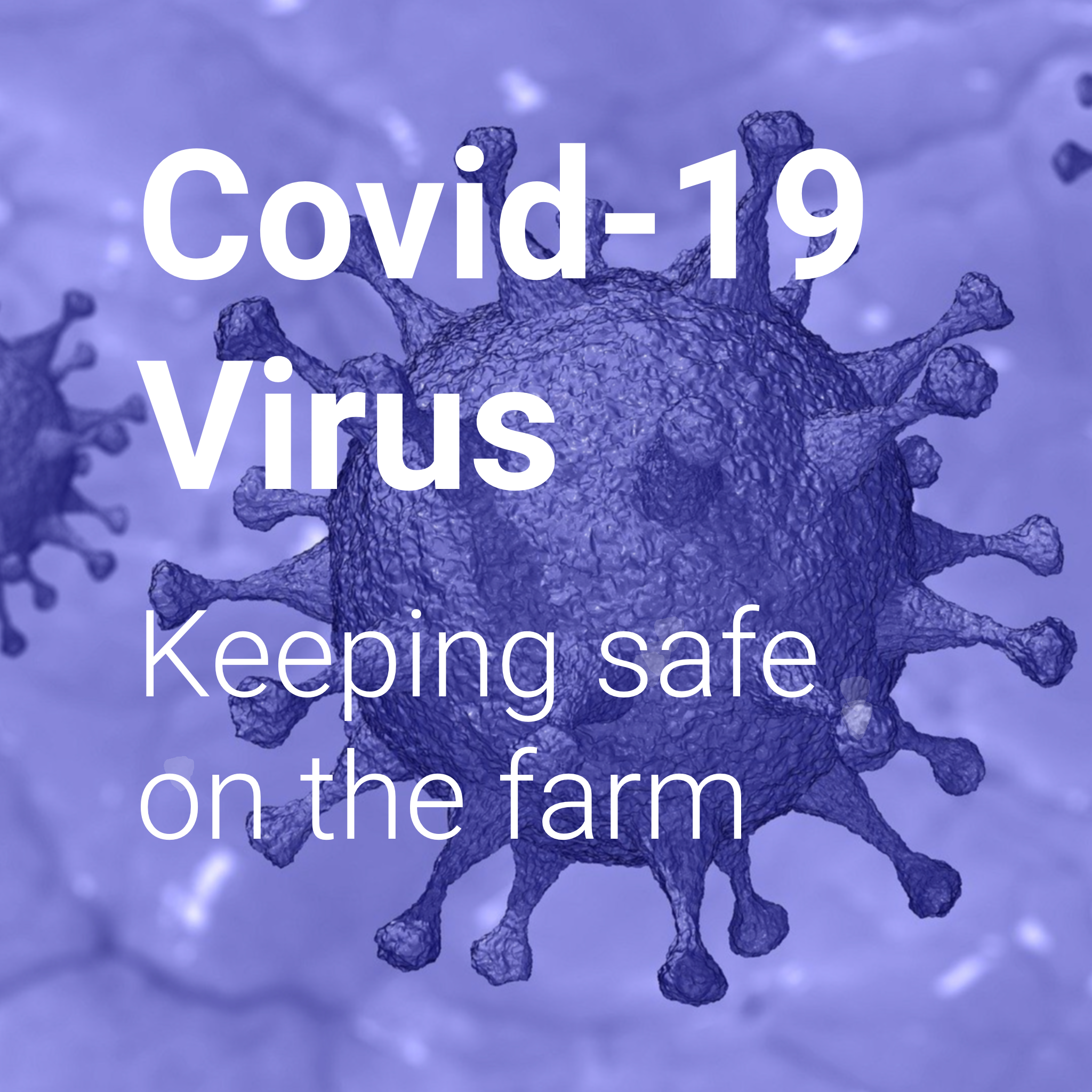 Keeping safe from Covid-19 on the farm