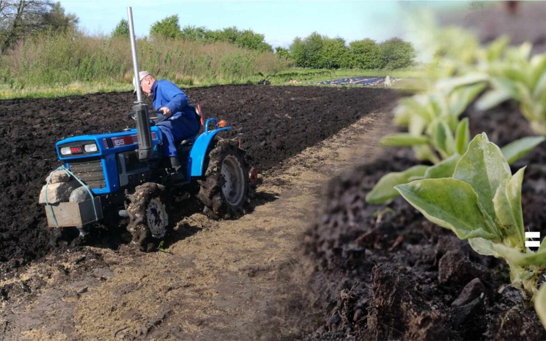 Becoming a mental health haven image - Small tractor ploughing on the farm