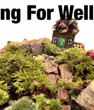 Crafting for wellbeing image of tiny garden and house