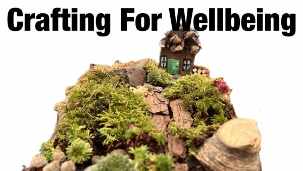 Crafting for wellbeing image of tiny garden and house