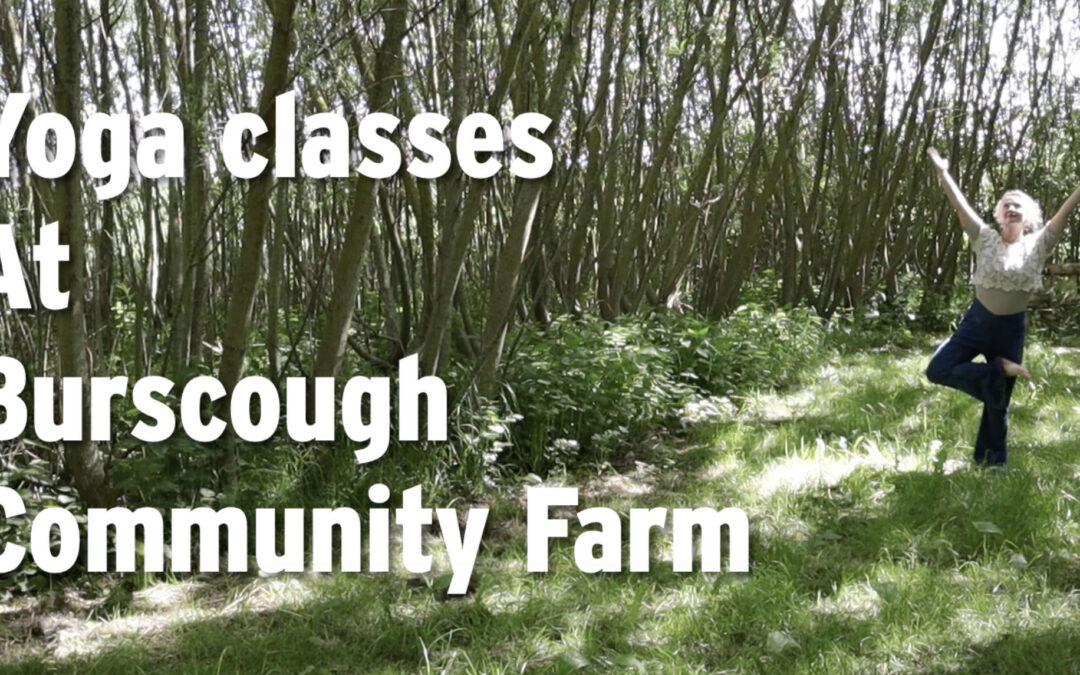 Image of Jess doing a yoga pose in the willow grove