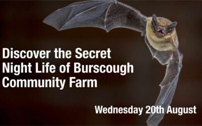 When Darkness Falls: Discovering the Secret Life of Our Farm