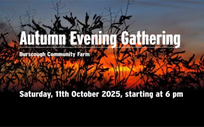Autumn Evening Gathering