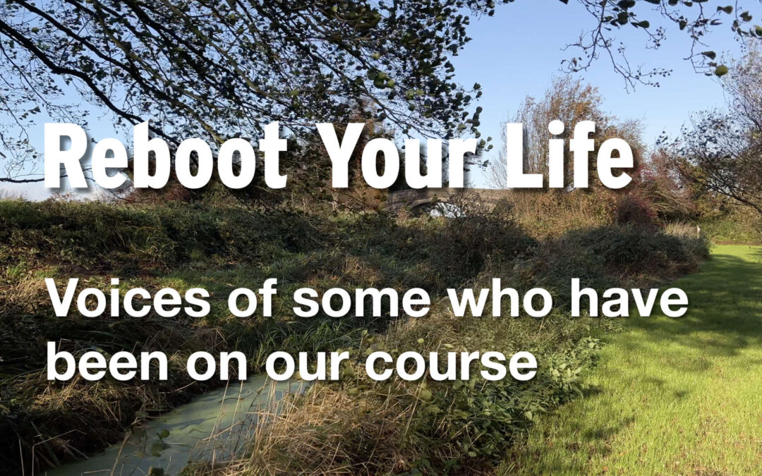 Reboot Voices — Stories from the Farm