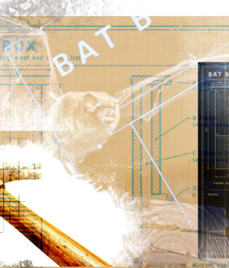 Bat Box Workshop Image